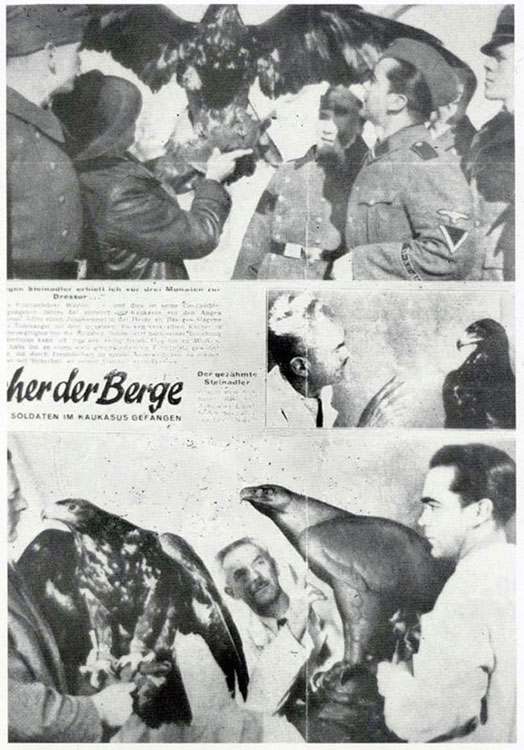 В Доме Немецкого искусства в Мюнхене скульптура Беркут выставлялась в 1944 году под номером 757 и представлена в каталоге выставки на странице 55.