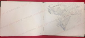 pages7
