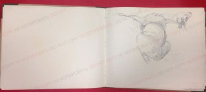 pages8
